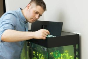 Handsome man catching fishes in the aquarium.
