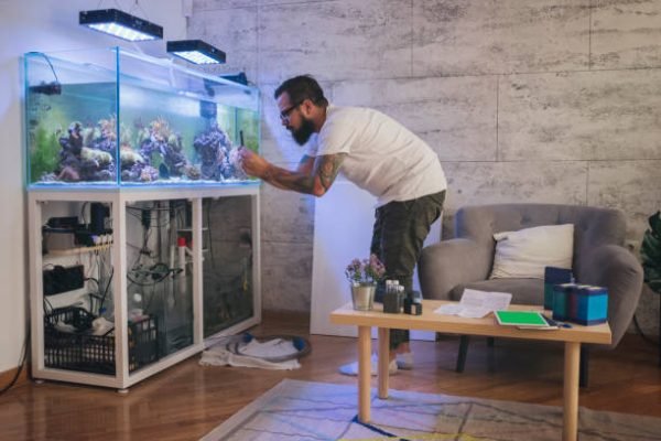 Bearded man photographing reef tank with his smart phone.