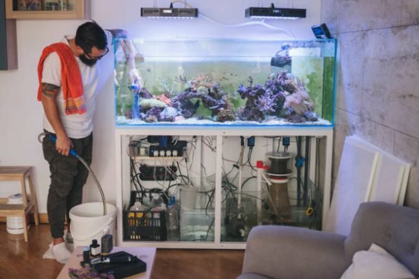 Bearded man cleaning reef tank.